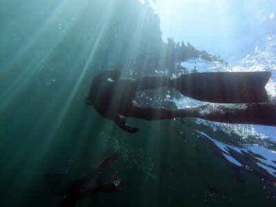 Freediver nähert sich der Wasseroberfläche