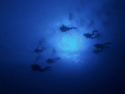 Unterwasserkamera hält Taucher im Gegenlicht fest